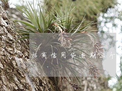 招商信用贷逾期三个月 招商信用贷逾期三个月