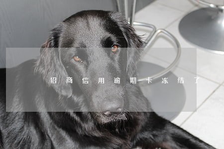 招商信用逾期卡冻结了 招商信用逾期卡冻结了