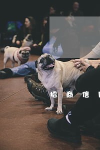 招商信用逾期有什么影响 招商信用逾期有什么影响