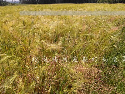 招商信用逾期的机会是几次 招商信用逾期的机会是几次