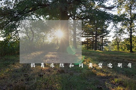 招商冻结和网商贷逾期有关系吗 招商冻结和网商贷逾期有关系吗
