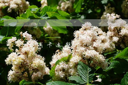 招商卡逾期15天 招商卡逾期15天
