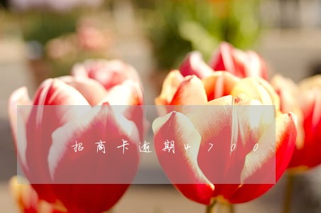 招商卡逾期4700
