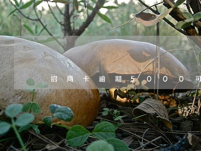 招商卡逾期5000可以协商吗