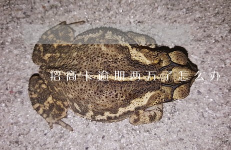 招商卡逾期两万了怎么办