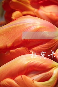 招商卡逾期了三天