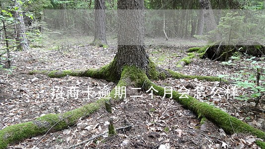 招商卡逾期二个月会怎么样