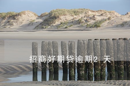 招商好期贷逾期2天 招商好期贷逾期2天