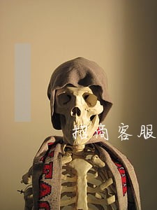 招商客服说只还本金 招商客服说只还本金