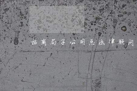 招商局子公司总法律顾问 招商局子公司总法律顾问