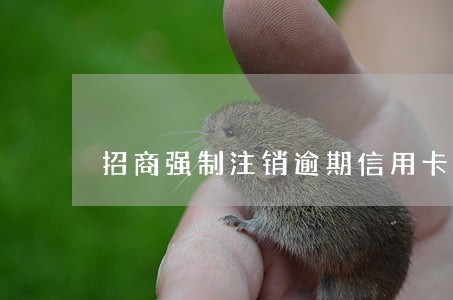 招商强制注销逾期信用卡
