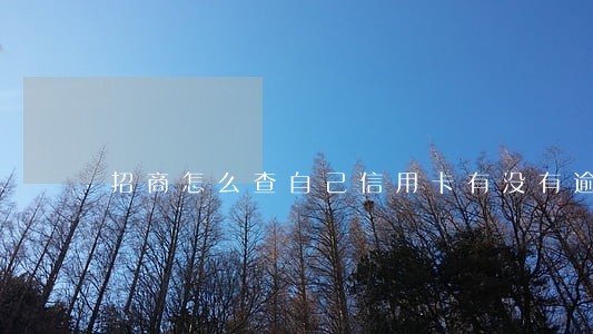 招商怎么查自己信用卡有没有逾期