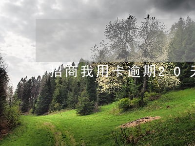 招商我用卡逾期20天 招商我用卡逾期20天
