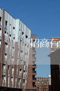 招商有信用卡逾期一天
