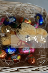 招商欠了3万逾期不同意协商