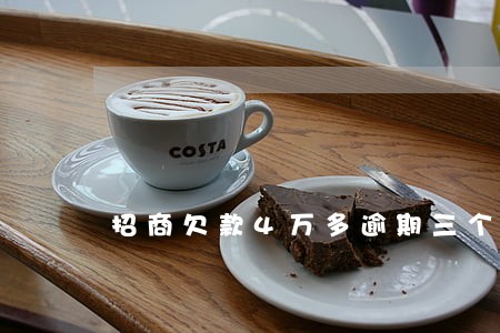 招商欠款4万多逾期三个月
