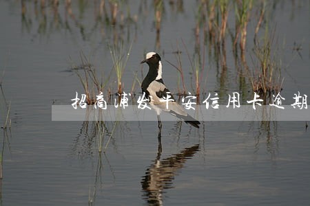 招商浦发平安信用卡逾期 招商浦发平安信用卡逾期