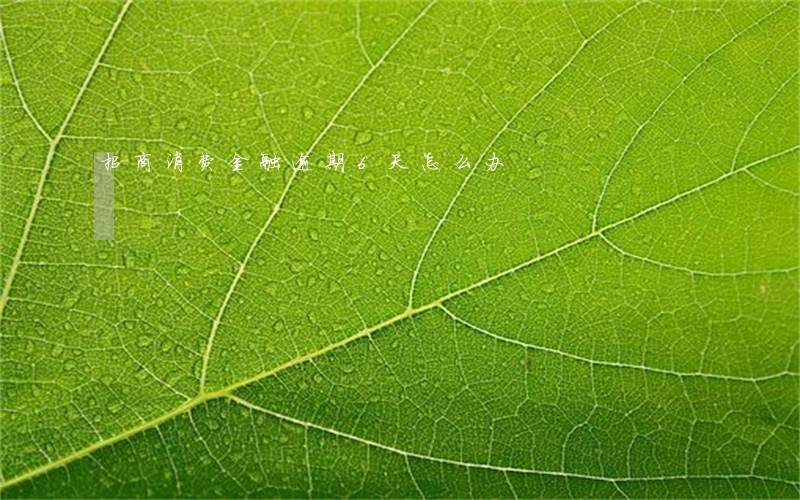 招商消费金融逾期6天怎么办