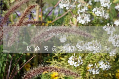 招商网贷逾期会坐牢吗 招商网贷逾期会坐牢吗