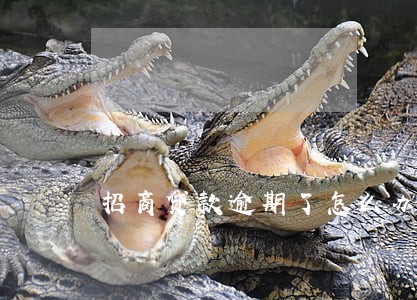 招商贷款逾期了怎么办 招商贷款逾期了怎么办