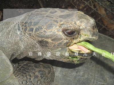 招商贷款逾期几天会打紧急电话 招商贷款逾期几天会打紧急电话