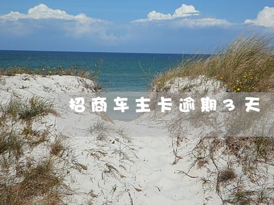 招商车主卡逾期3天