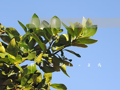 招商逾期1-2天 招商逾期1-2天