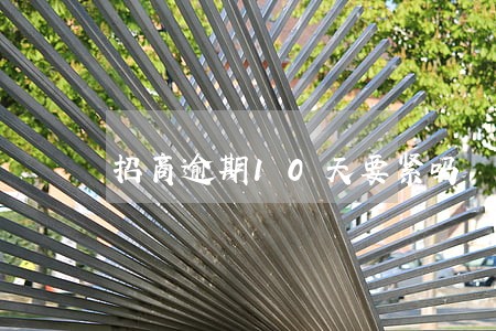 招商逾期10天要紧吗 招商逾期10天要紧吗