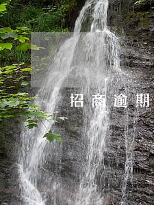 招商逾期11万会立案吗 招商逾期11万会立案吗