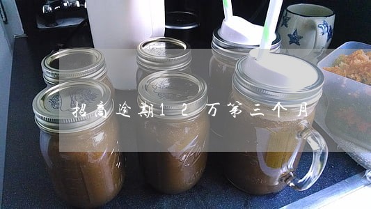 招商逾期12万第三个月 招商逾期12万第三个月