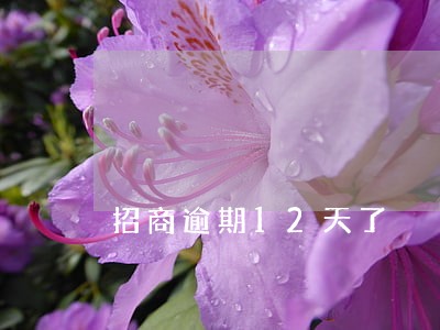 招商逾期12天了 招商逾期12天了