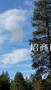招商逾期12天还款上征信吗 招商逾期12天还款上征信吗