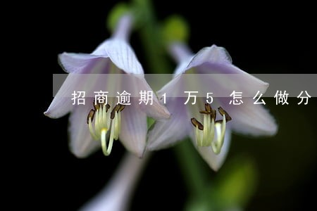 招商逾期1万5怎么做分期 招商逾期1万5怎么做分期