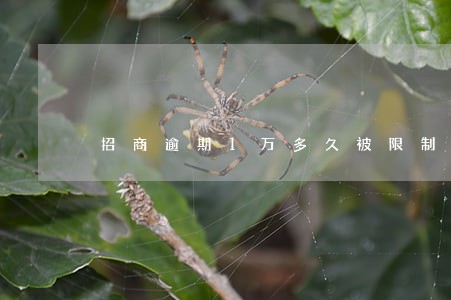 招商逾期1万多久被限制消费 招商逾期1万多久被限制消费