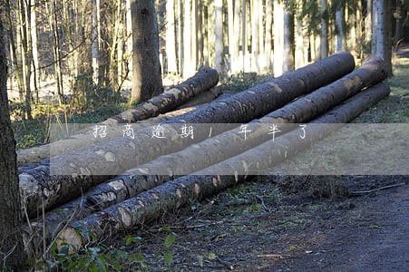 招商逾期1年半了 招商逾期1年半了