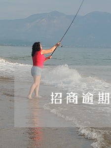 招商逾期1年可以商量分期吗 招商逾期1年可以商量分期吗