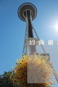 招商逾期1日却提额了 招商逾期1日却提额了