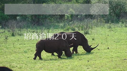 招商逾期20天