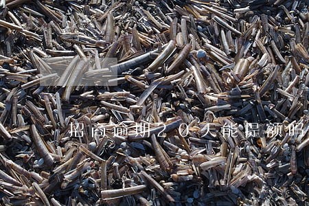 招商逾期20天能提额吗 招商逾期20天能提额吗