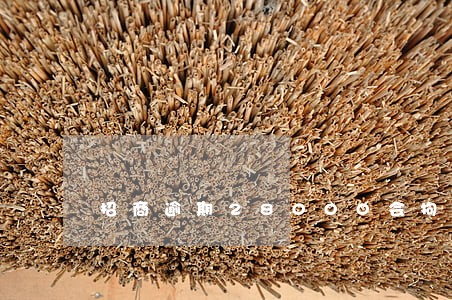 招商逾期28000会拘留吗 招商逾期28000会拘留吗