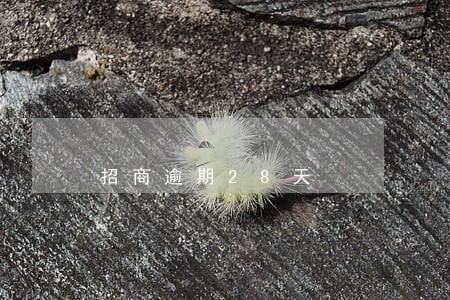 招商逾期28天 招商逾期28天