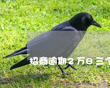 招商逾期2万8三个月会坐牢吗