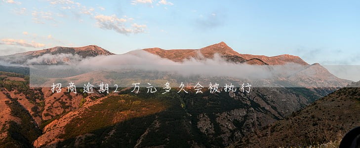 招商逾期2万元多久会被执行 招商逾期2万元多久会被执行