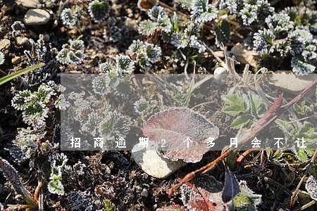 招商逾期2个多月会不让使用吗 招商逾期2个多月会不让使用吗