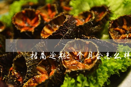 招商逾期2个月会怎么样 招商逾期2个月会怎么样
