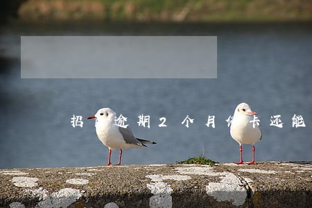 招商逾期2个月停卡还能用吗 招商逾期2个月停卡还能用吗