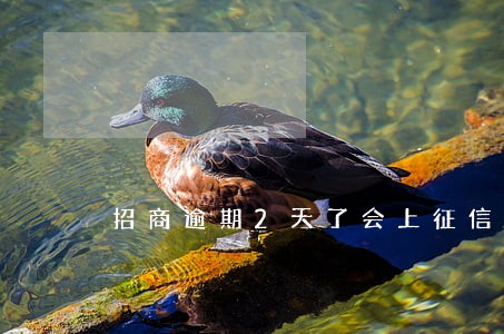 招商逾期2天了会上征信吗 招商逾期2天了会上征信吗