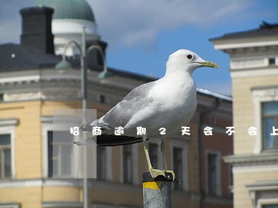 招商逾期2天会不会上征信 招商逾期2天会不会上征信