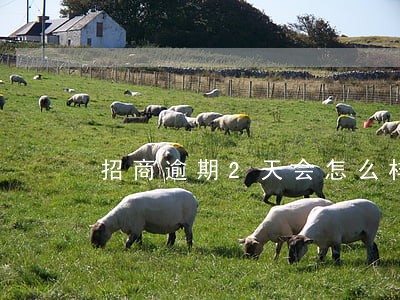 招商逾期2天会怎么样 招商逾期2天会怎么样