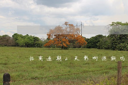 招商逾期2天影响提额吗 招商逾期2天影响提额吗